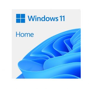 win11